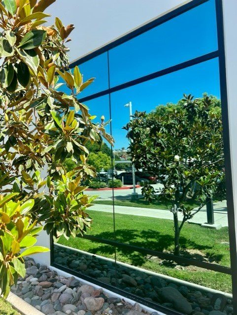 Clean commercial glass reflecting trees and sky
