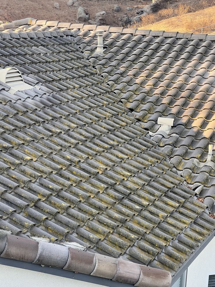 Tile roof dark with soot and moss before cleaning